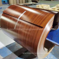 Prepainted Galvanized PPGI Steel Coil